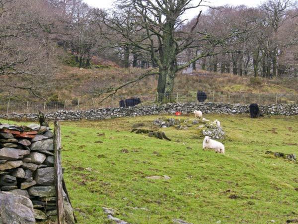Villa Y Bwthyn Llanbedr  Esterno foto