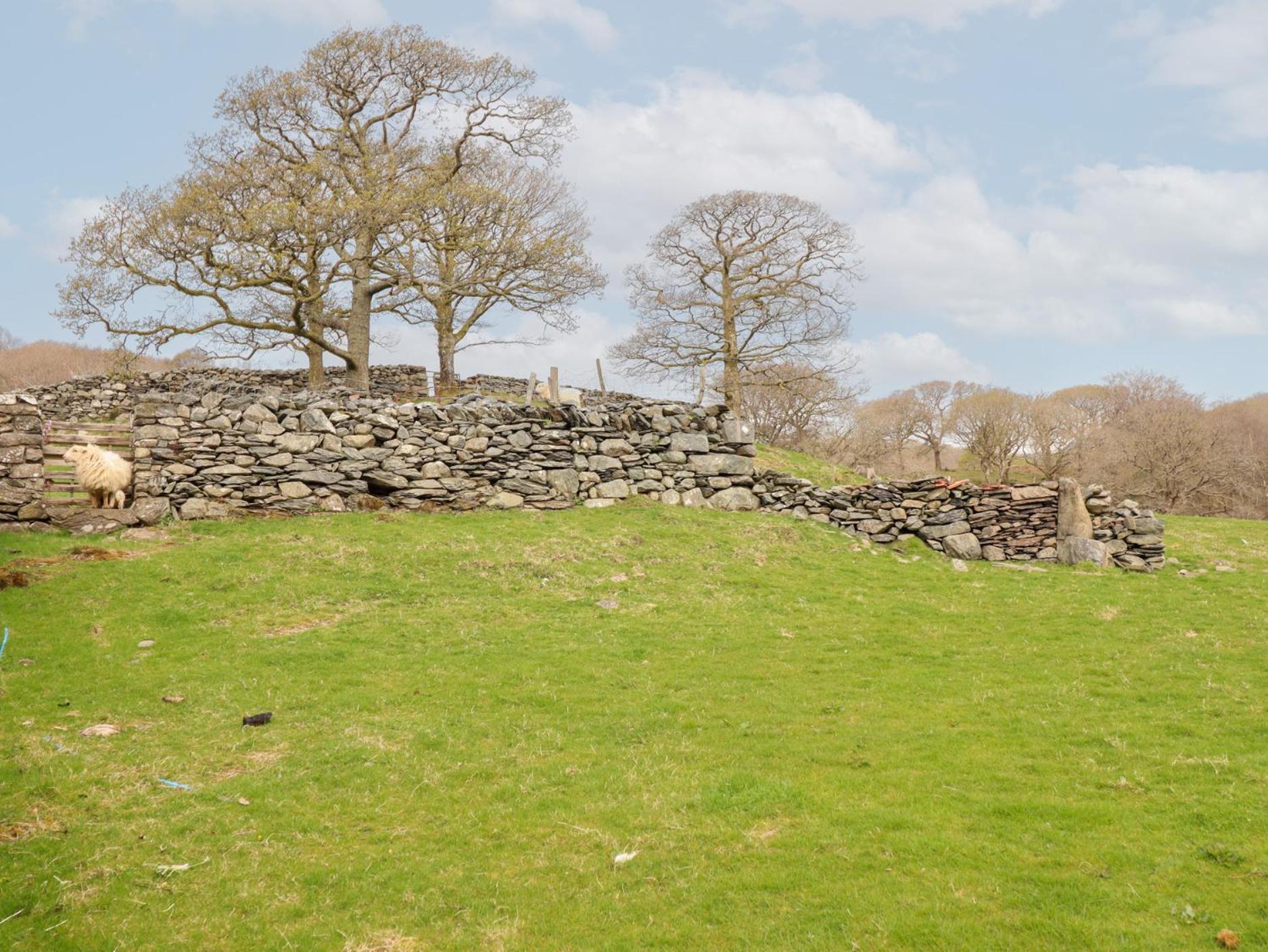 Villa Y Bwthyn Llanbedr  Esterno foto